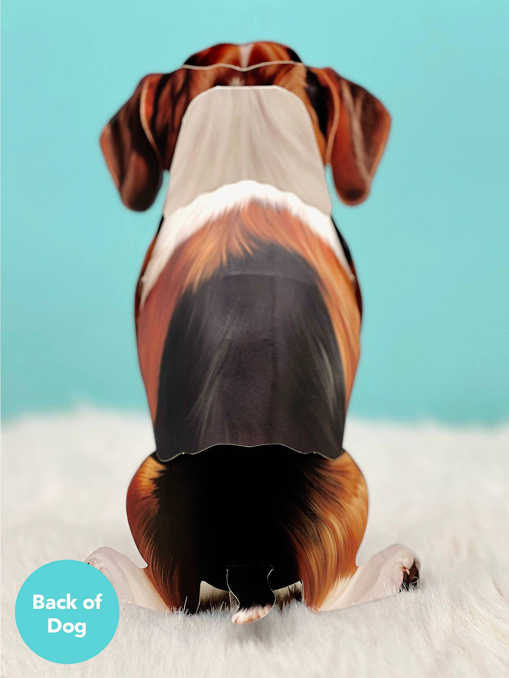 Beagle (6 Pop-up Greeting Cards)