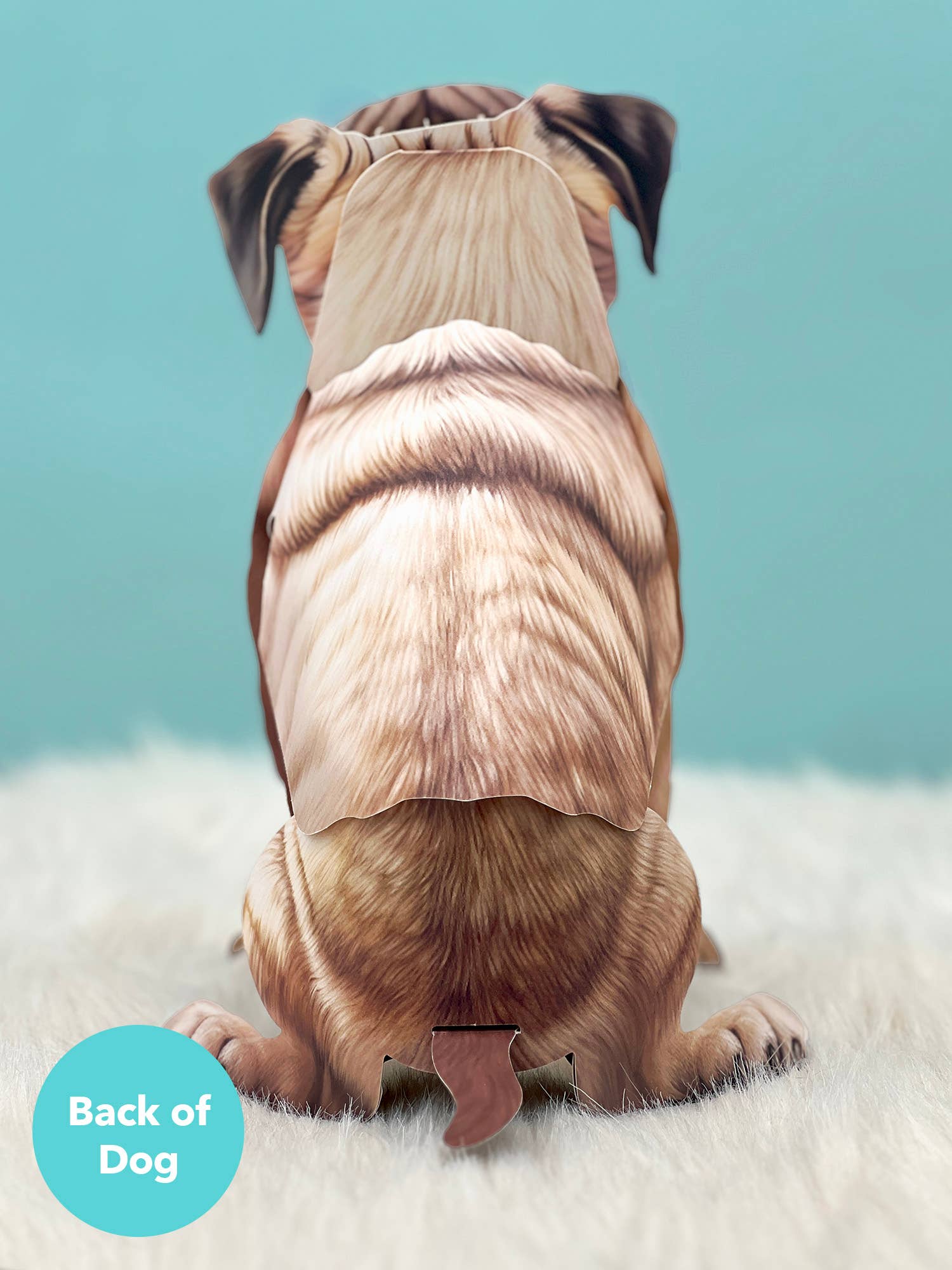 Pug (6 Pop-up Greeting Cards)