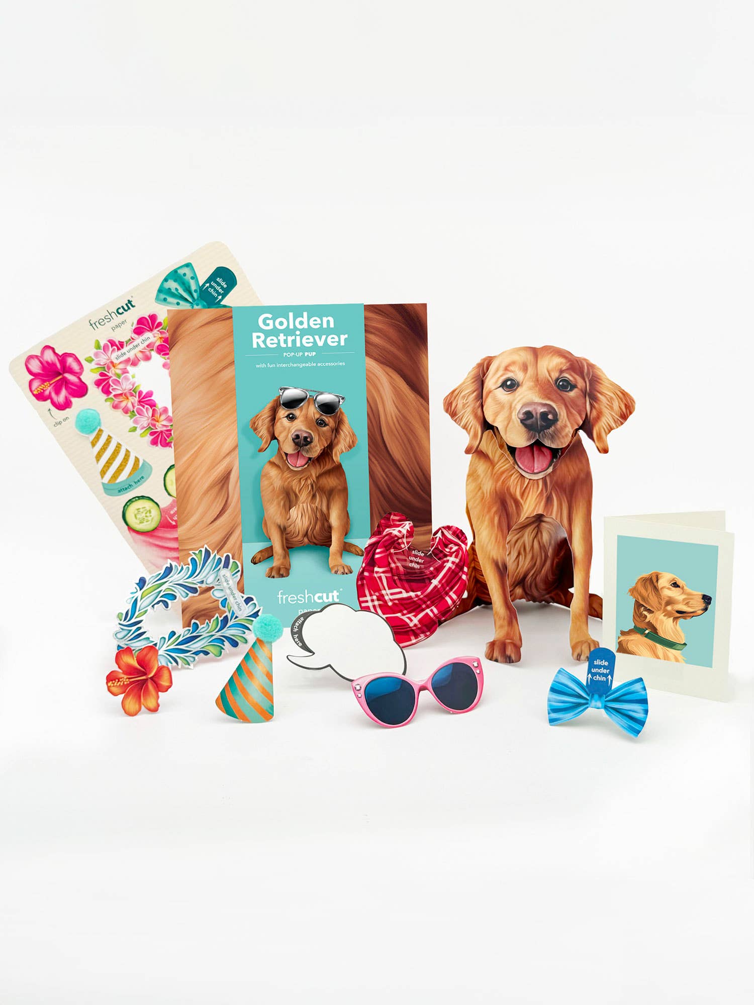 Golden Retriever (6 Pop-up Greeting Cards)