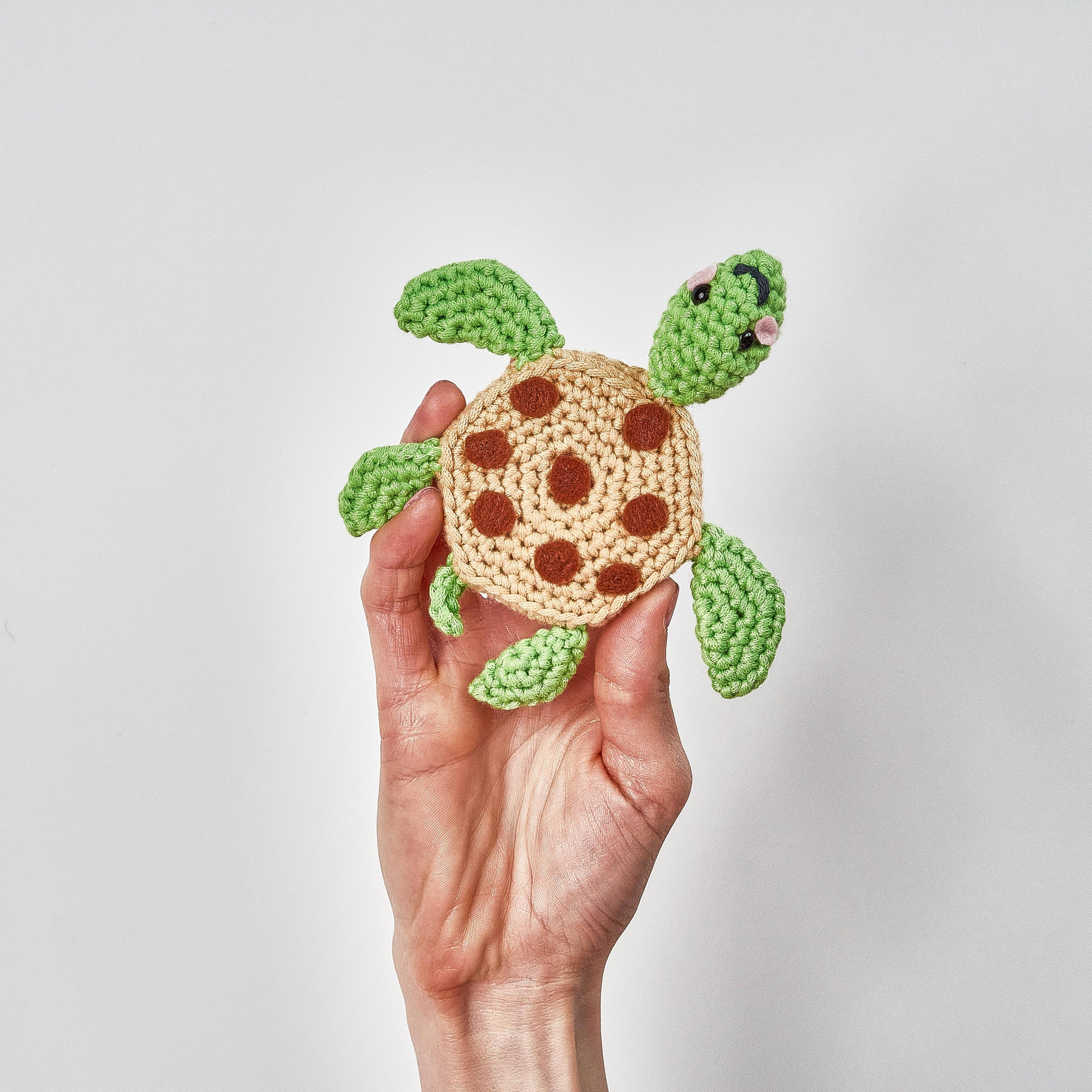 Lion Brand Yarn Yummy Friends Kit Cookie Turtle Tim 1 Kit