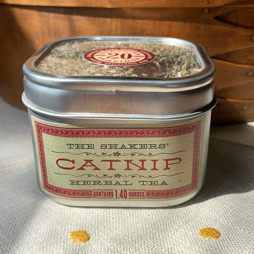Catnip Tea