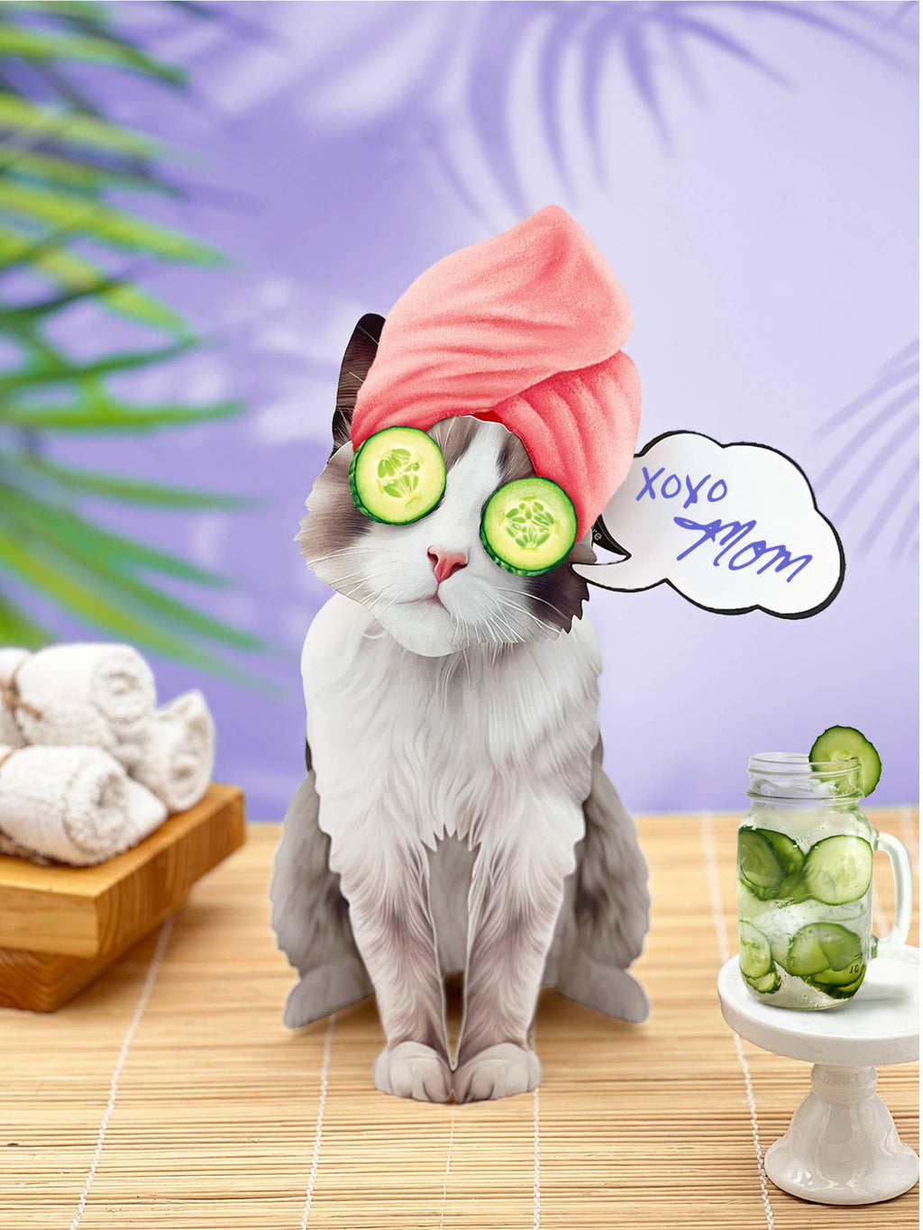 Ragdoll Cat (6 Pop-up Greeting Cards)