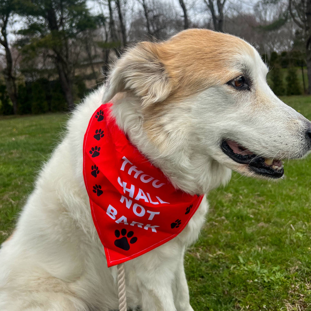Pet Bandanas
