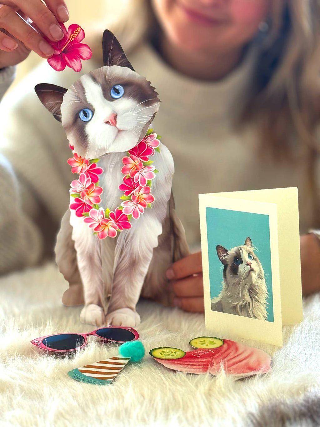 Ragdoll Cat (6 Pop-up Greeting Cards)