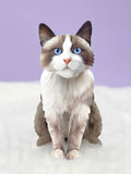 Ragdoll Cat (6 Pop-up Greeting Cards)