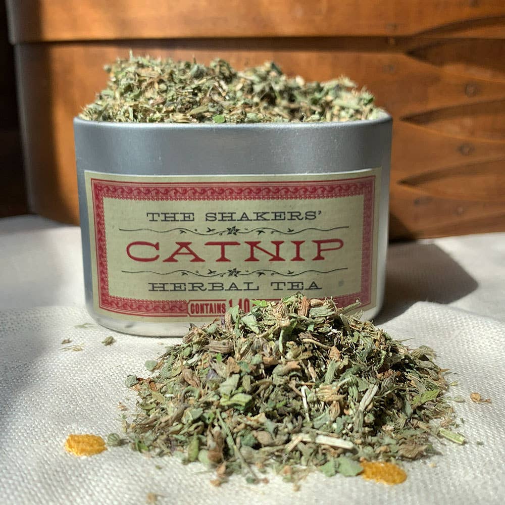 Catnip Tea