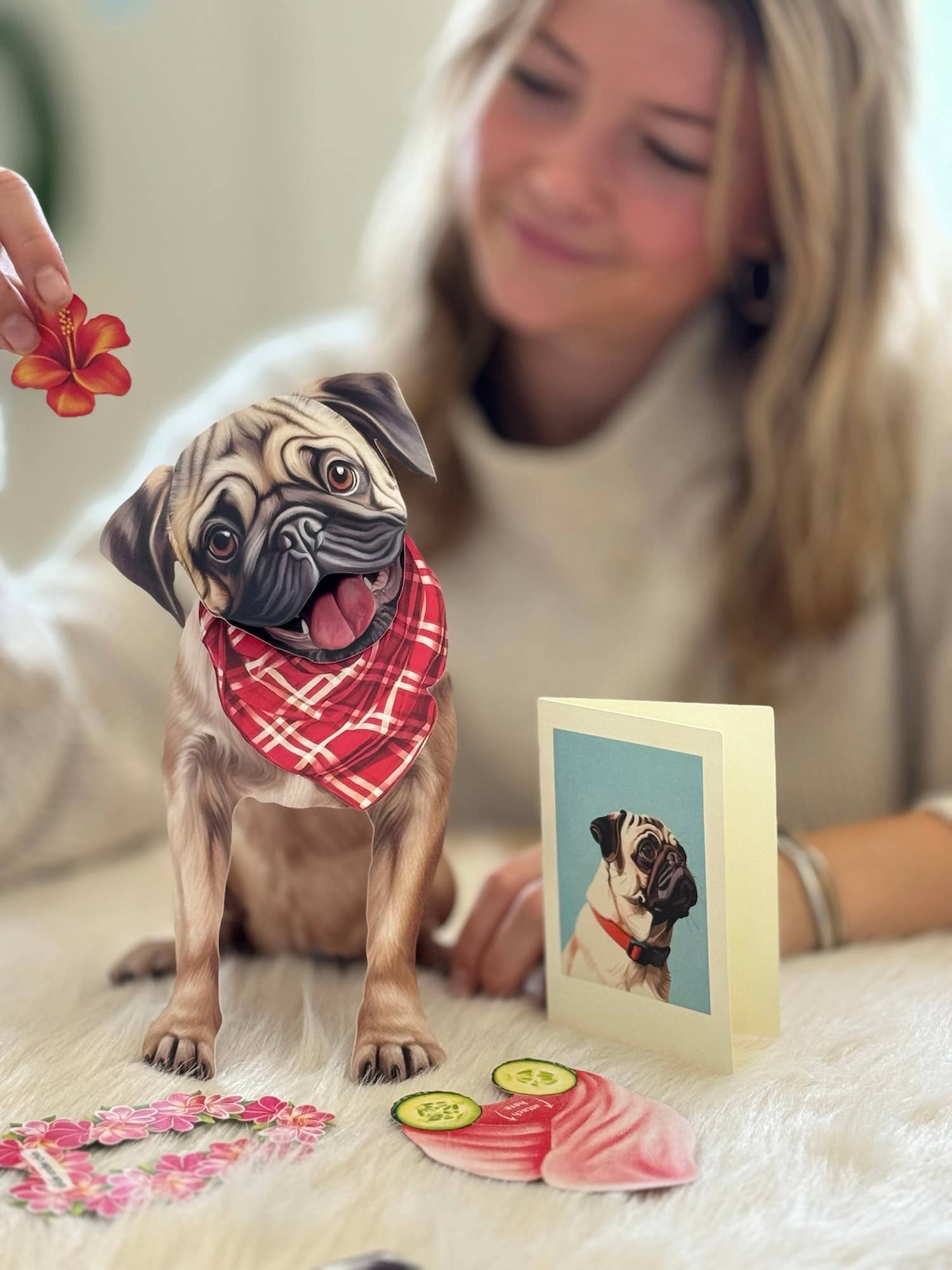 Pug (6 Pop-up Greeting Cards)