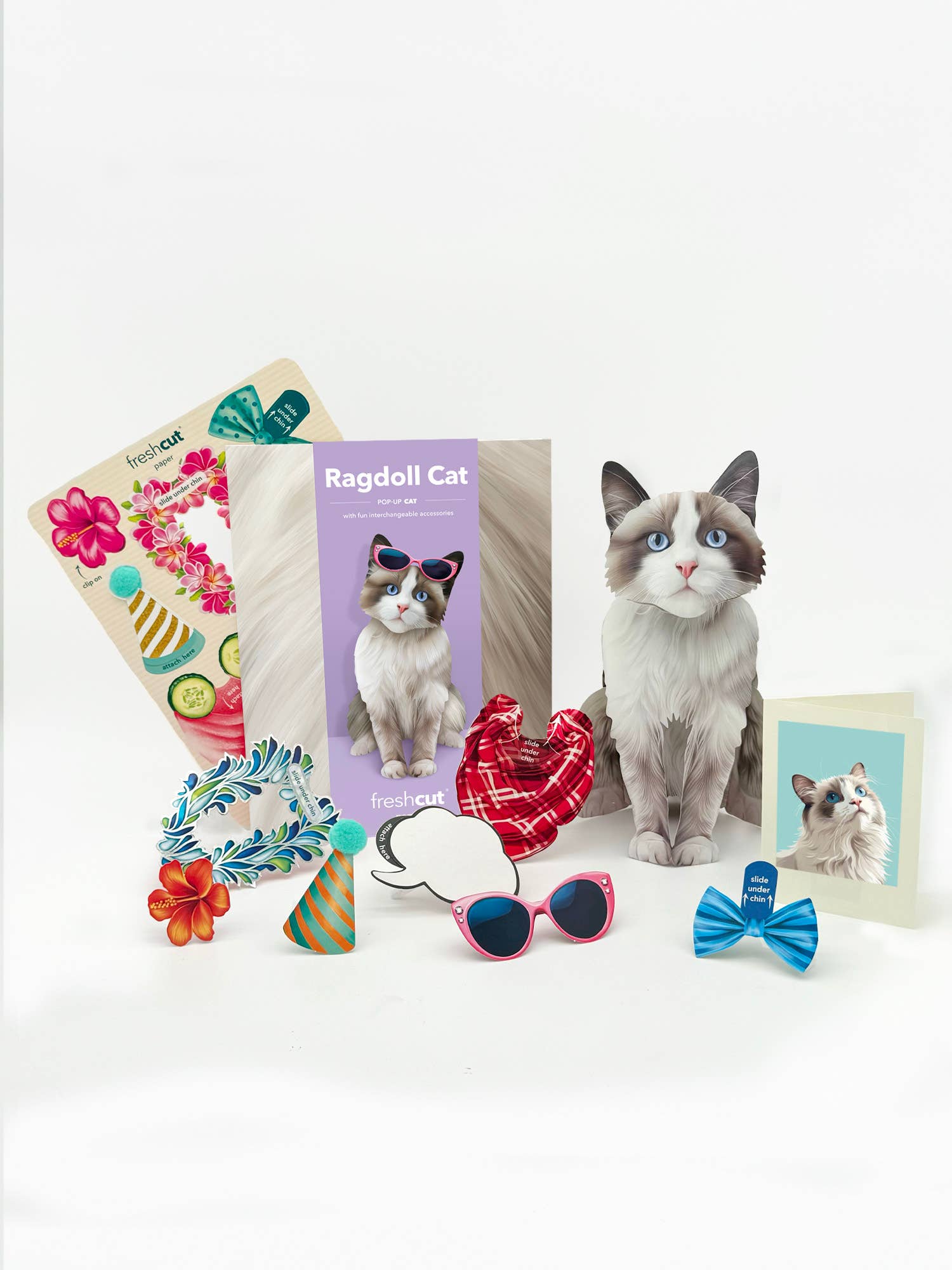 Ragdoll Cat (6 Pop-up Greeting Cards)
