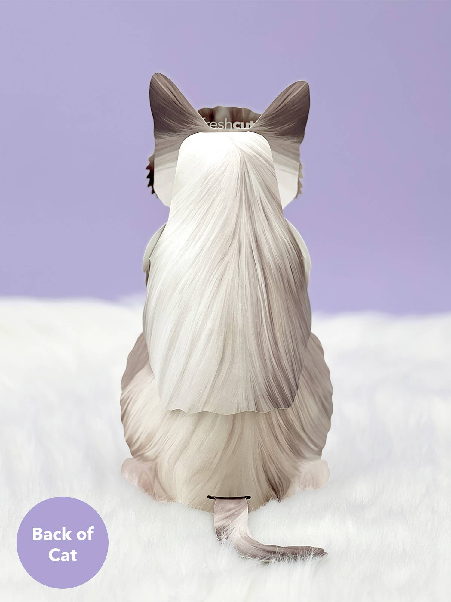 Ragdoll Cat (6 Pop-up Greeting Cards)