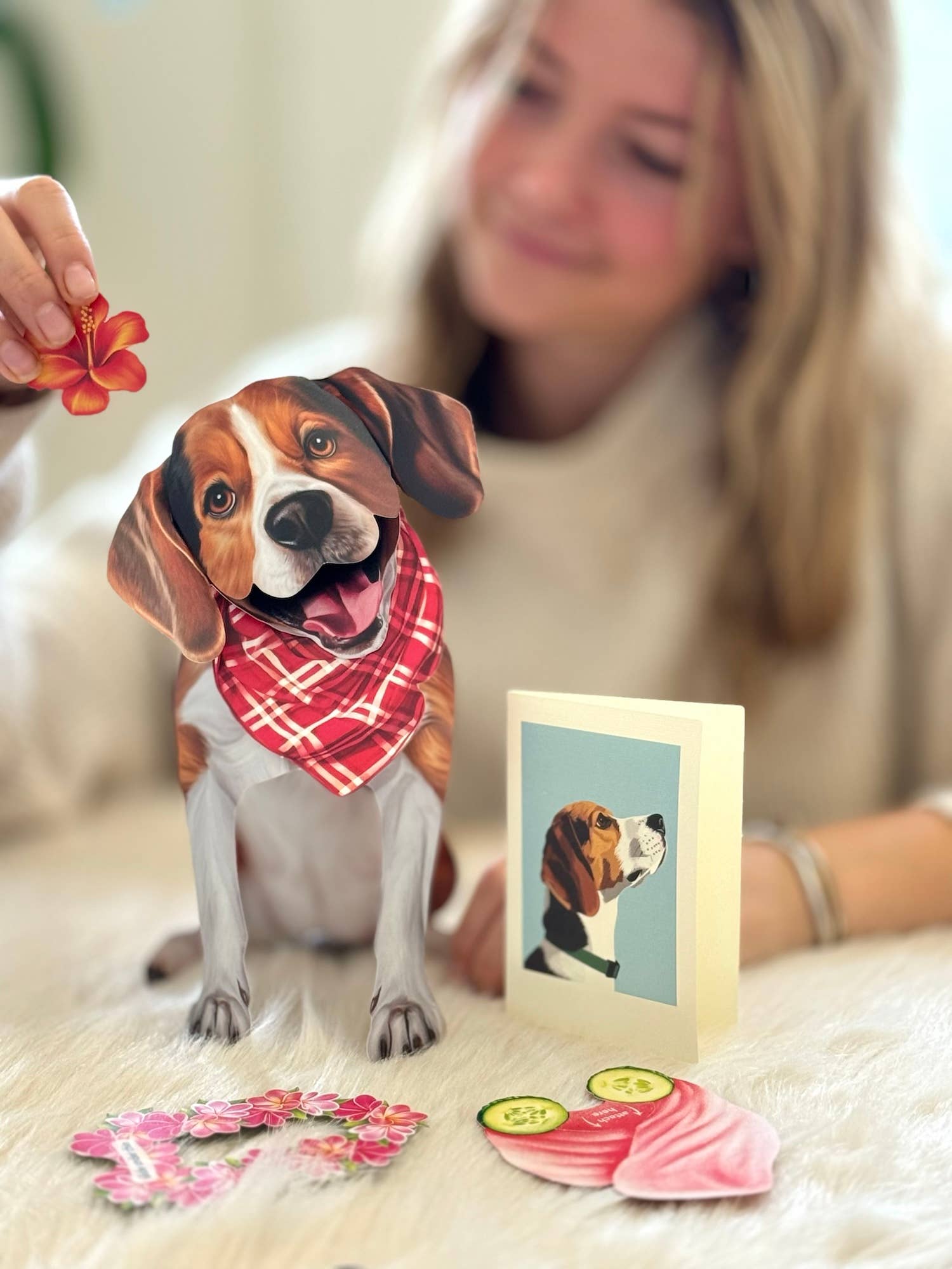 Beagle (6 Pop-up Greeting Cards)